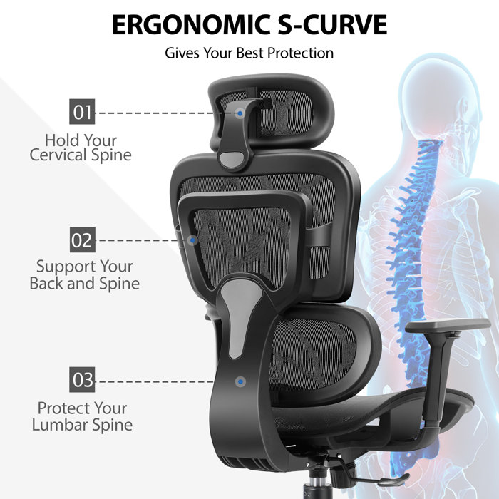 Inbox Zero Ergonomic Task Chair with Headrest & Reviews Wayfair